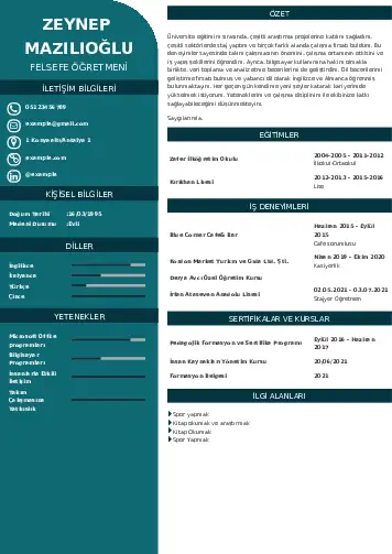 cv indir